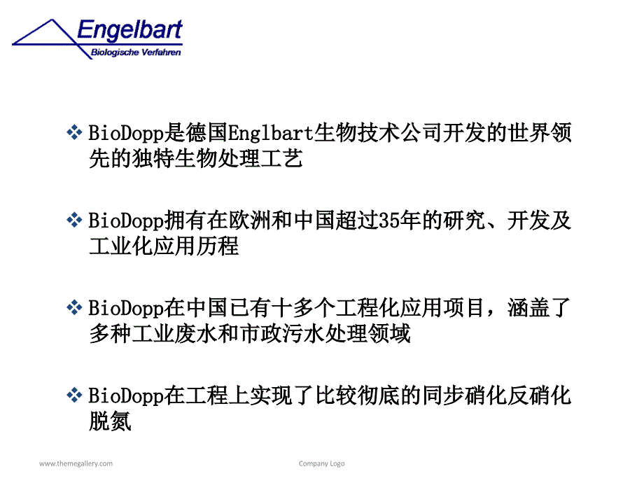 BioDopp生化工艺报告_第2页