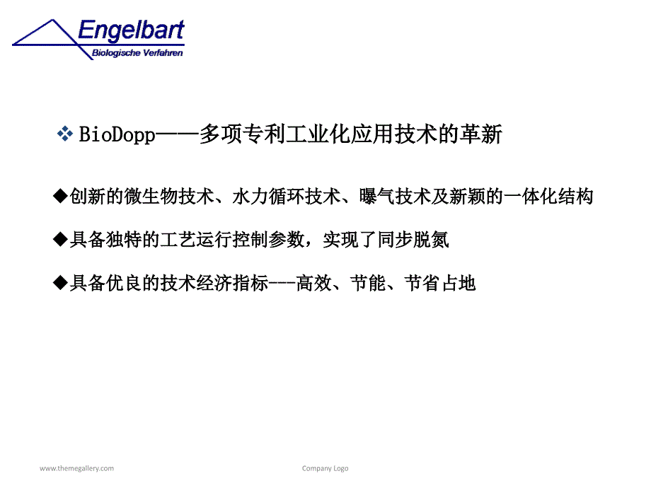 BioDopp生化工艺报告_第3页