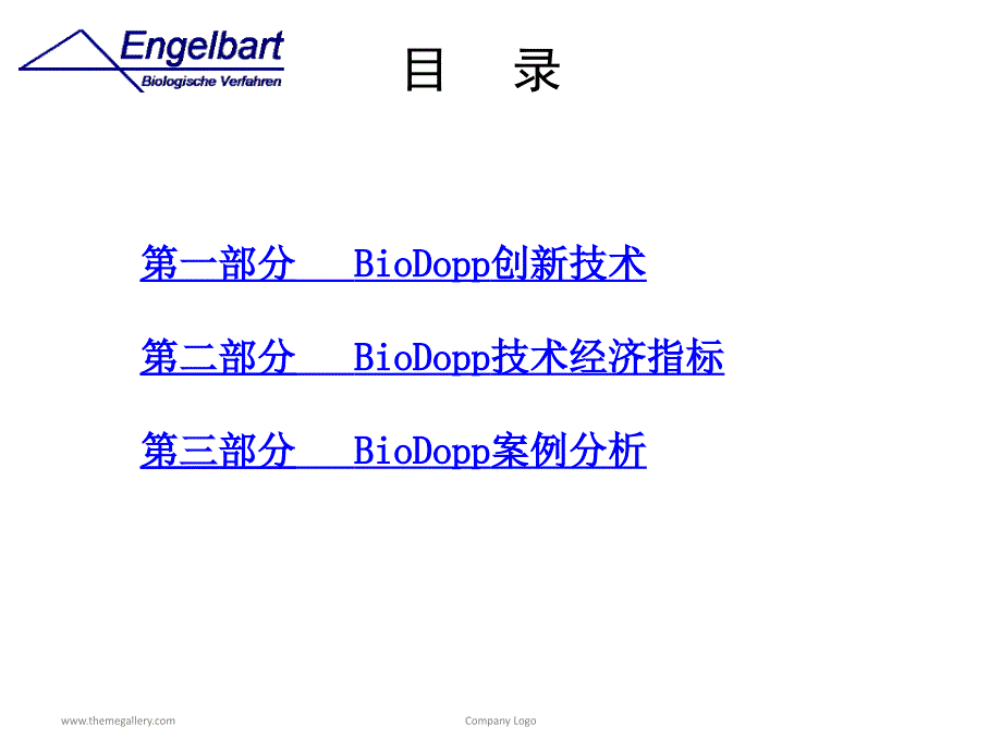 BioDopp生化工艺报告_第4页