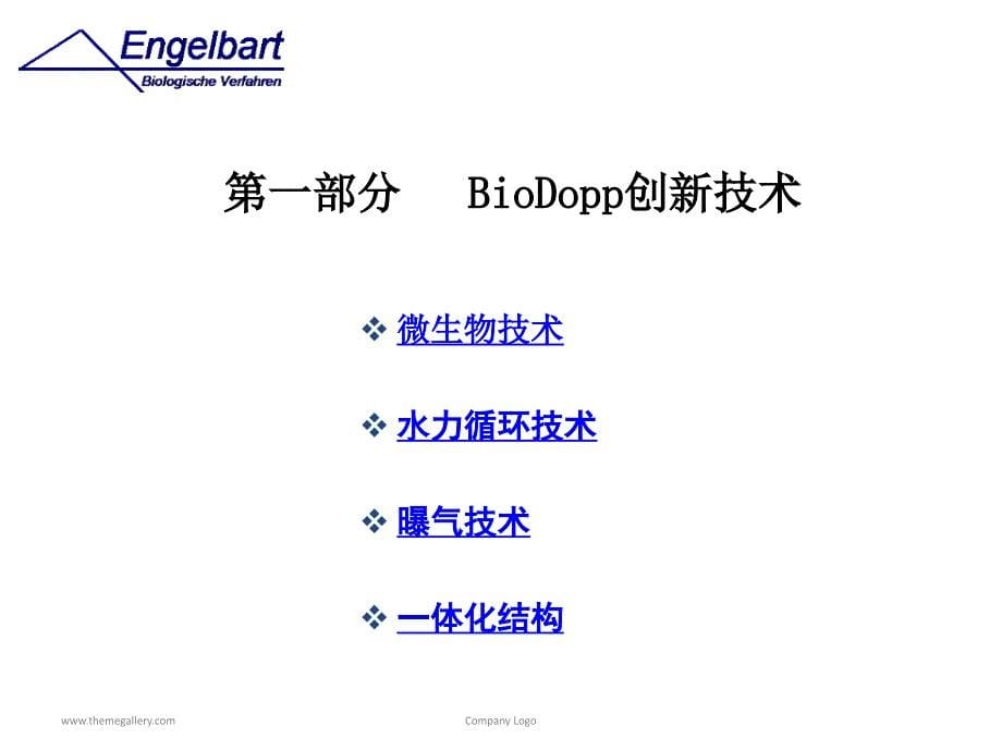 BioDopp生化工艺报告_第5页