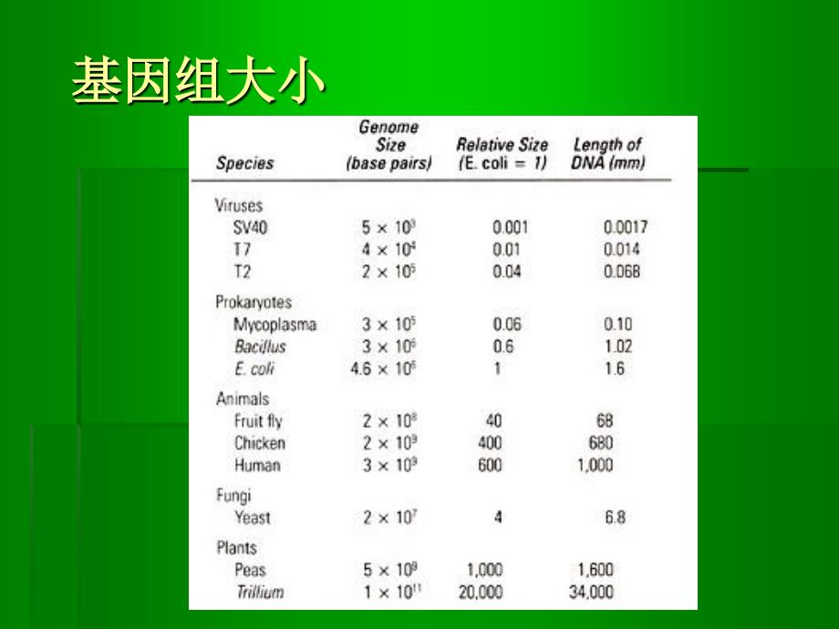 《人类基因组》课件_第4页