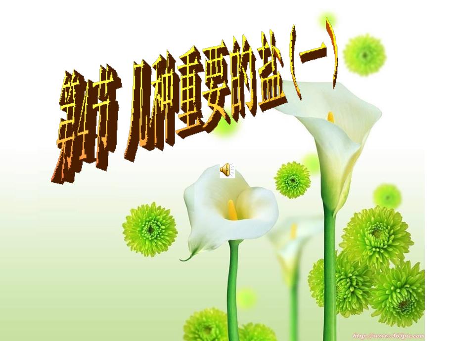 514几种重要的盐[1]_第1页