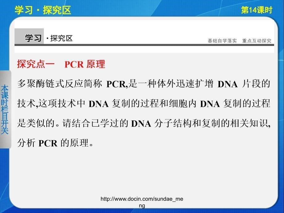 【大学课件】多聚酶链式反应扩增DNA片段_第5页