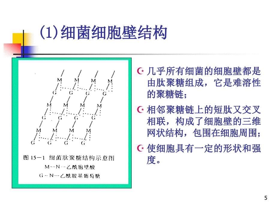 3第二章细胞分离与胞内产物的溶解3h_第5页