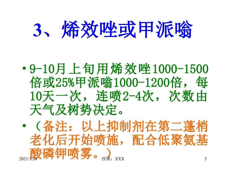 芒果控梢促花保果技术PPT课件_第5页