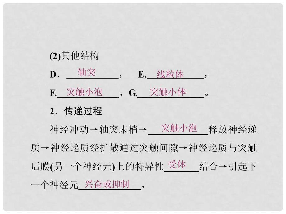 高中生物 第2章 动物和人体生命活动的调节 第1节 动物和人体生命活动的调节（第2课时）通过神经系统的调节（二）课件 新人教版必修3_第2页