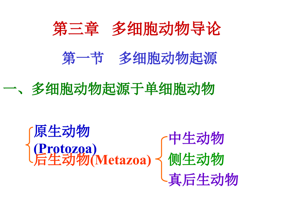 《多细胞起源》PPT课件_第1页