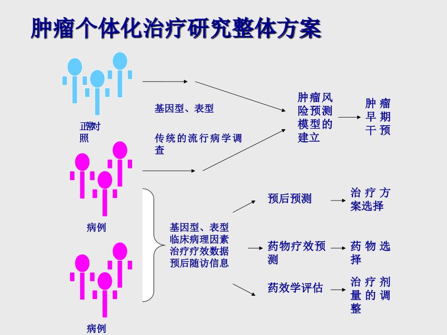 12专题讲座2肿瘤的个体化治疗_第4页