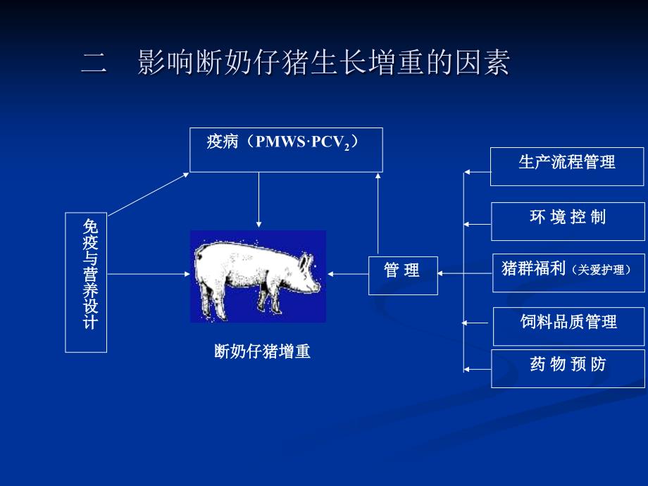 断奶仔猪管理技术PPT课件_第3页