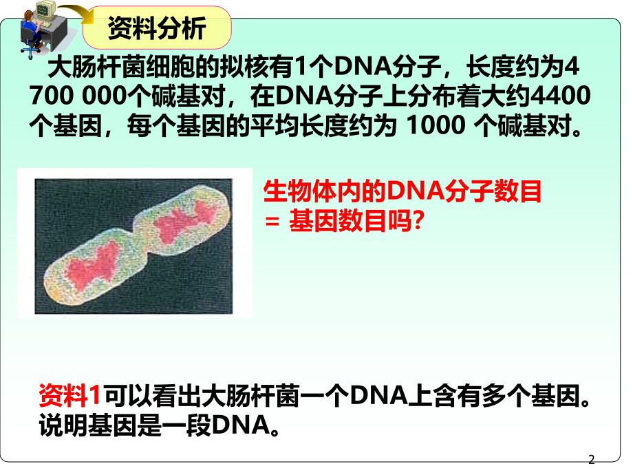 基因是有遗传效应的DNA的片段_第2页