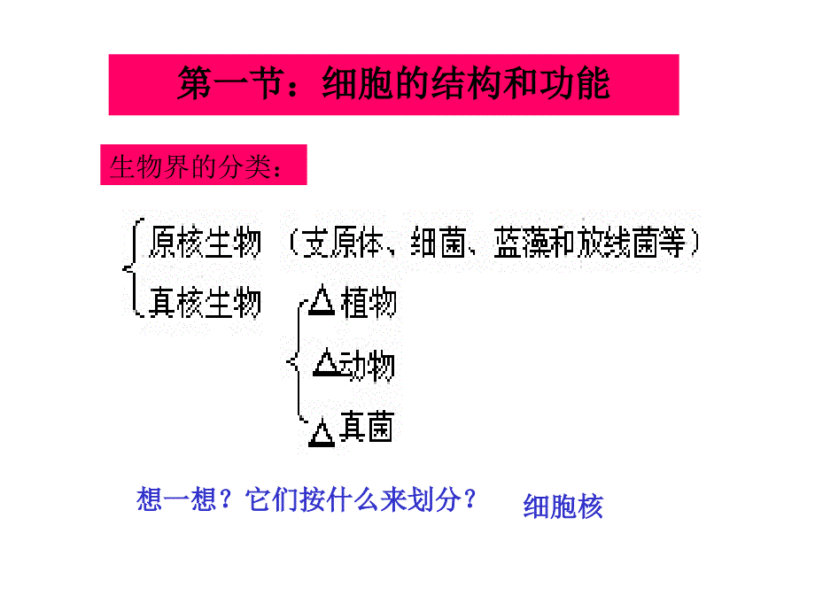 细胞膜细胞核课件_第3页