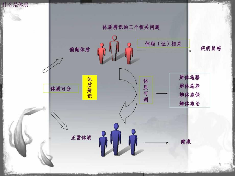 中医体质辨识2ppt课件_第4页