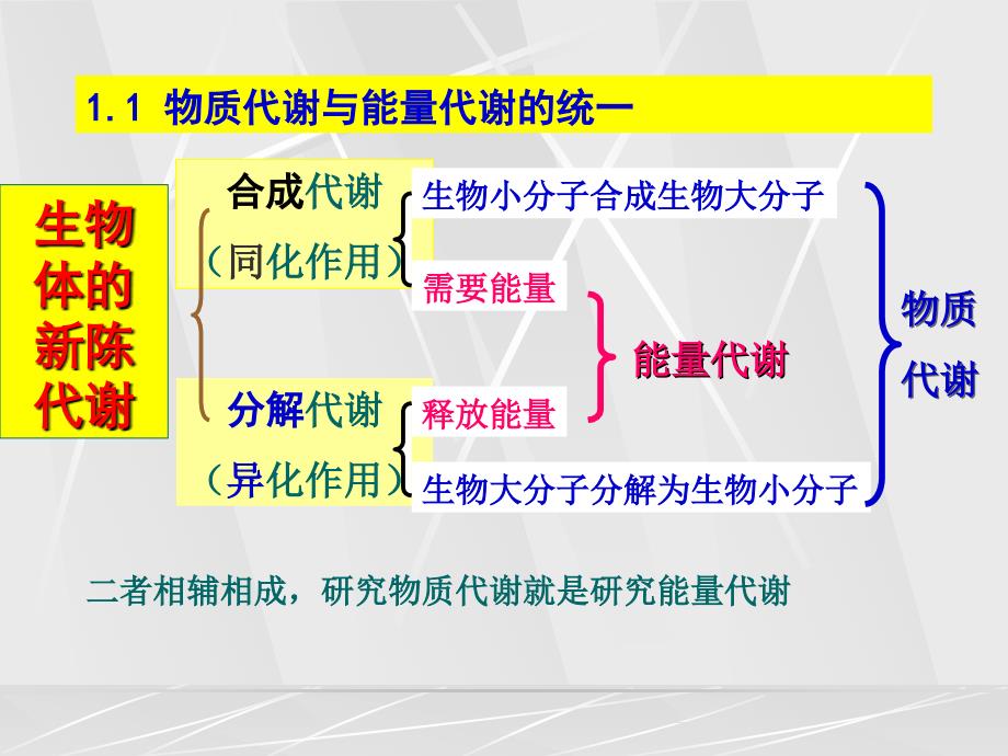 第二篇物质代谢及其调节_第3页