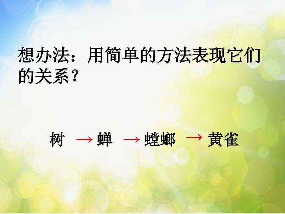 苏教小学科学六下《4.3.有趣的食物链》PPT课件 (3)_第3页