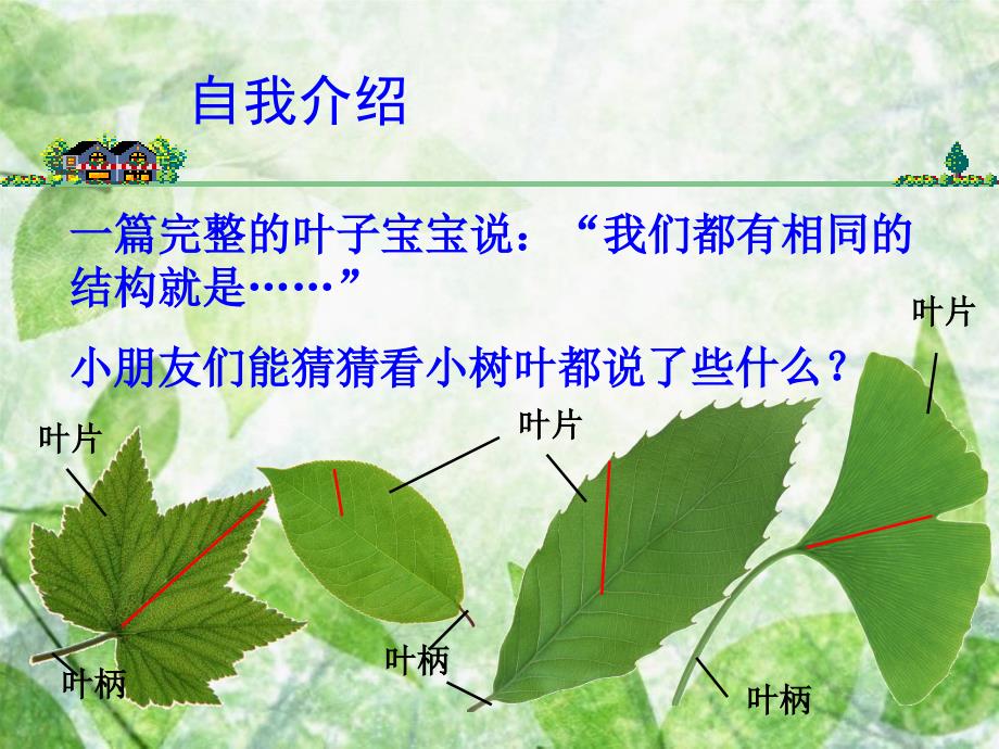 教科版小学科学三年级上册第一单元《植物的叶》PPT课件_第4页