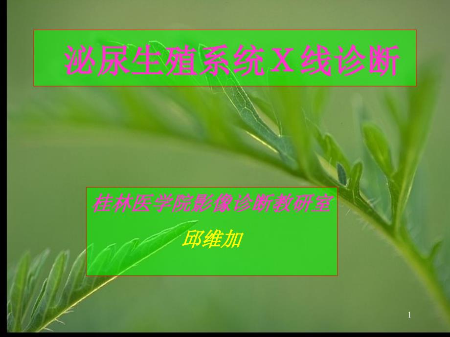 泌尿生殖系统Ｘ线诊断_第1页