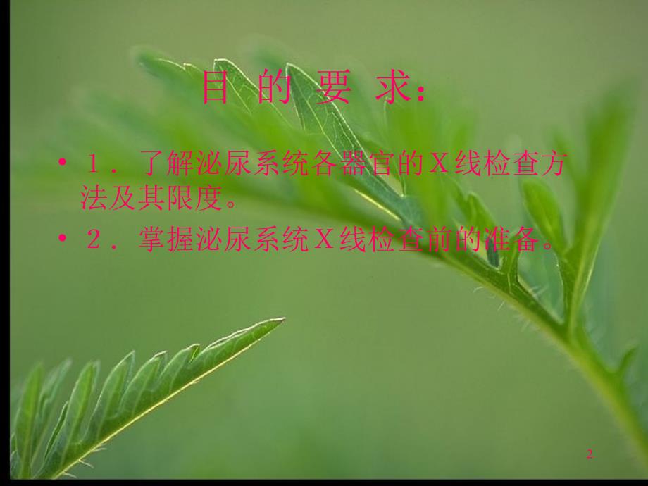 泌尿生殖系统Ｘ线诊断_第2页