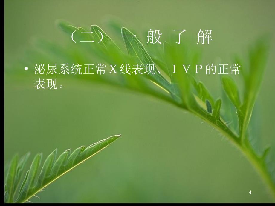 泌尿生殖系统Ｘ线诊断_第4页