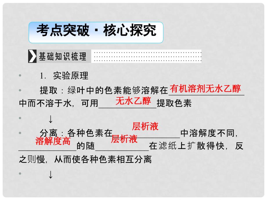 导学教程高考生物一轮复习 第3单元 细胞的能量供应和利用 重点实验课（二）绿叶中色素的提取和分离课件_第2页