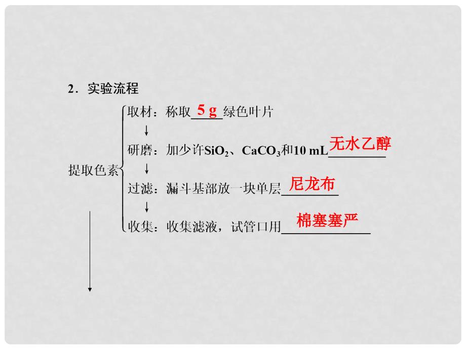 导学教程高考生物一轮复习 第3单元 细胞的能量供应和利用 重点实验课（二）绿叶中色素的提取和分离课件_第3页