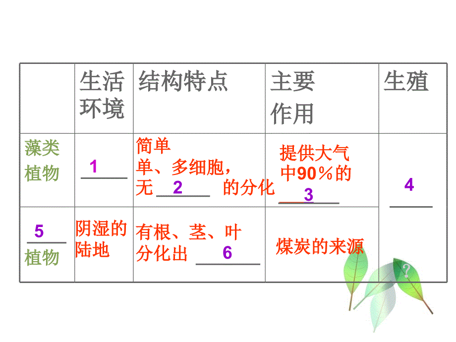 七年级上册绿色植物的主要类群(.ppt_第3页