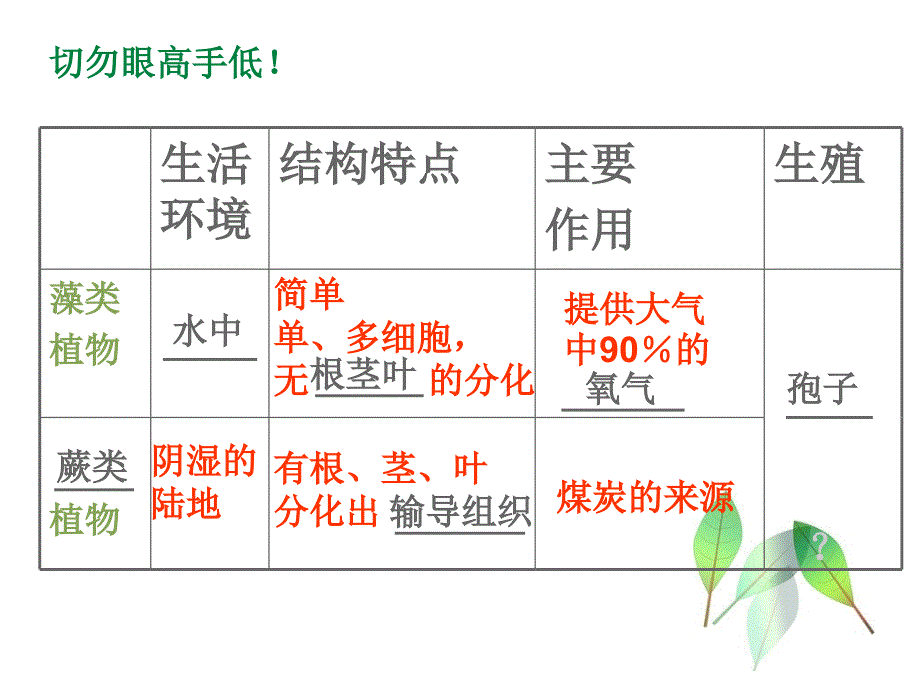 七年级上册绿色植物的主要类群(.ppt_第4页