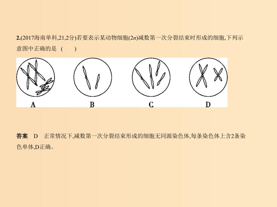 （新课标Ⅰ）2019版高考生物一轮复习 专题9 遗传的细胞基础课件.ppt_第4页