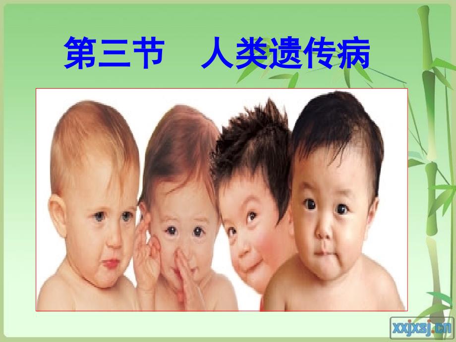 人类遗传病-ppt_第1页