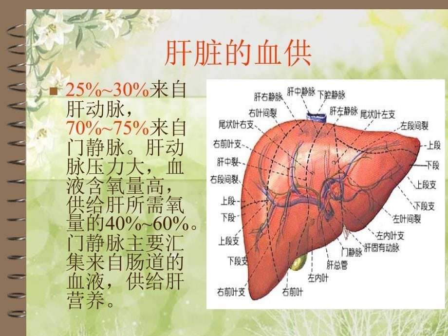 《肝癌患者的护理》PPT课件_第5页