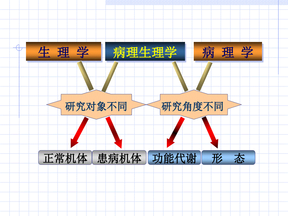 1第二章绪论疾病概论临床本科_第2页