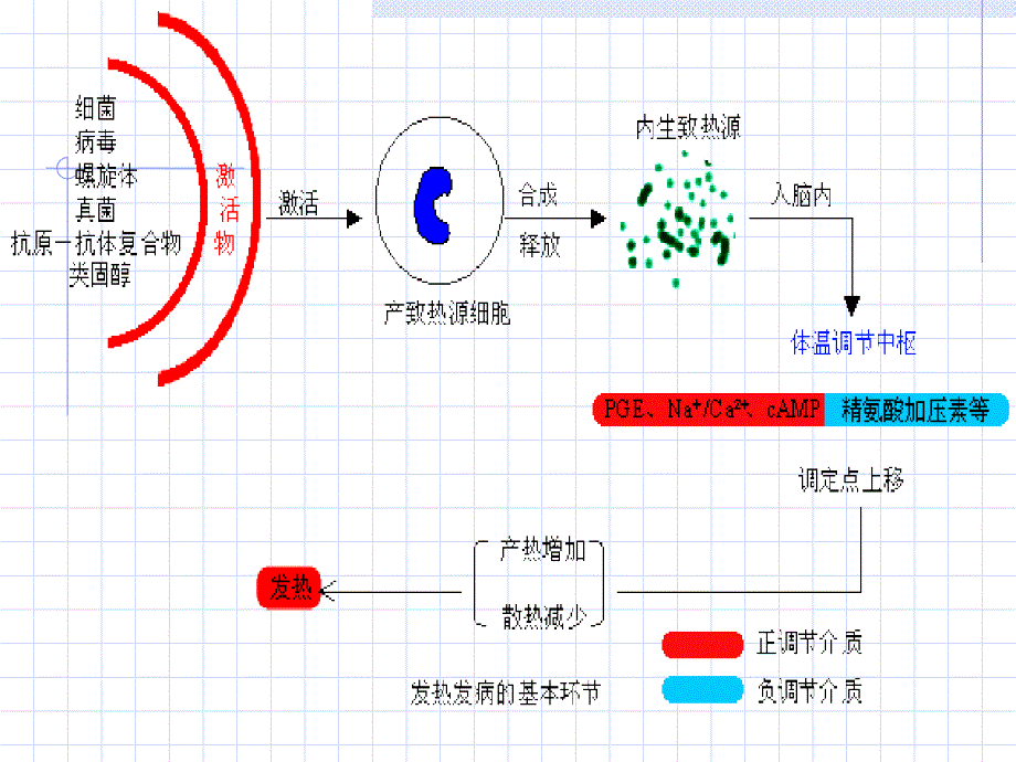 1第二章绪论疾病概论临床本科_第4页