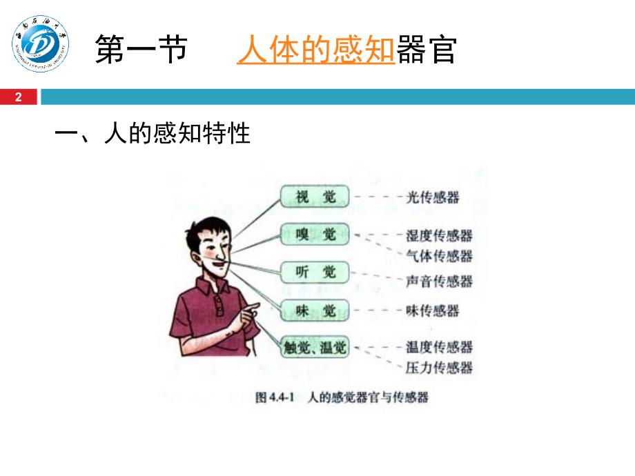 第三章_人体特性_第2页