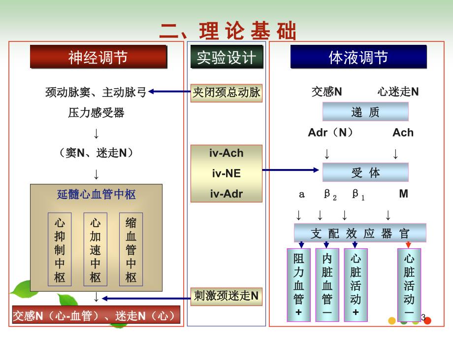 心血管功能左心衰演示PPT_第3页