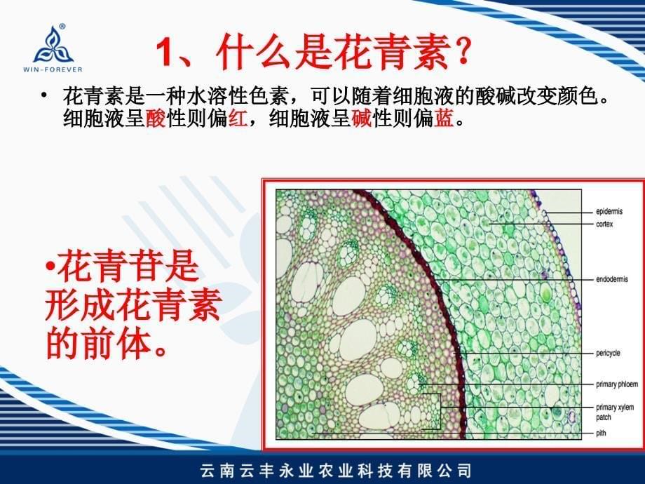 作物着色技术知识_第5页