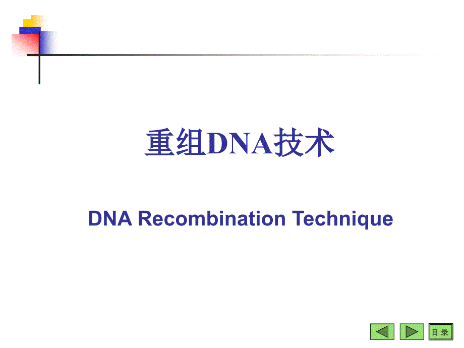 第十四章基因工程_第2页