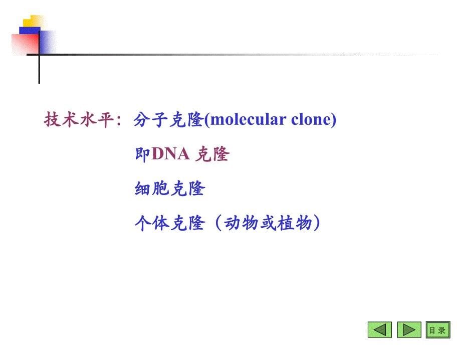 第十四章基因工程_第5页