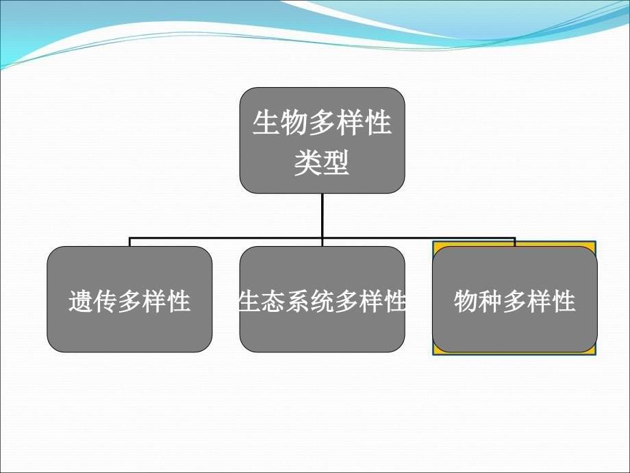 生物多样性与环境-rev_第5页