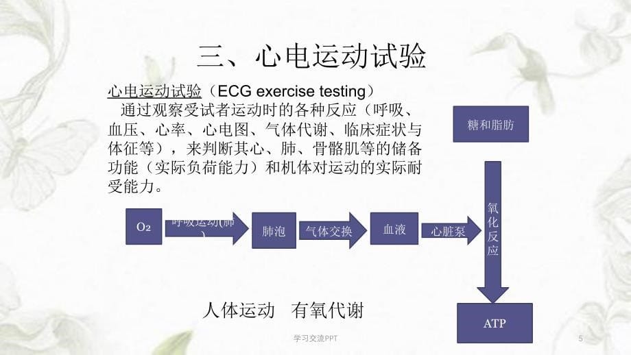 心肺功能评定课件_第5页