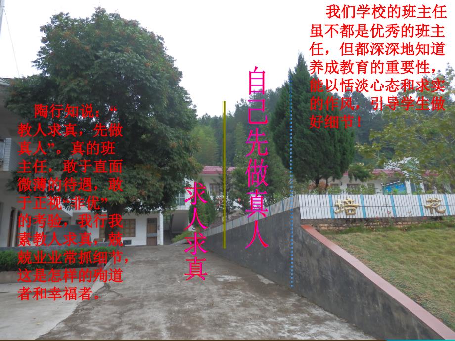 小学生习惯养成总结_ppt_第3页