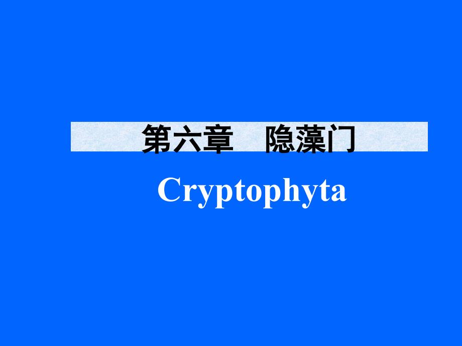隐藻门与甲藻门PPT课件_第1页