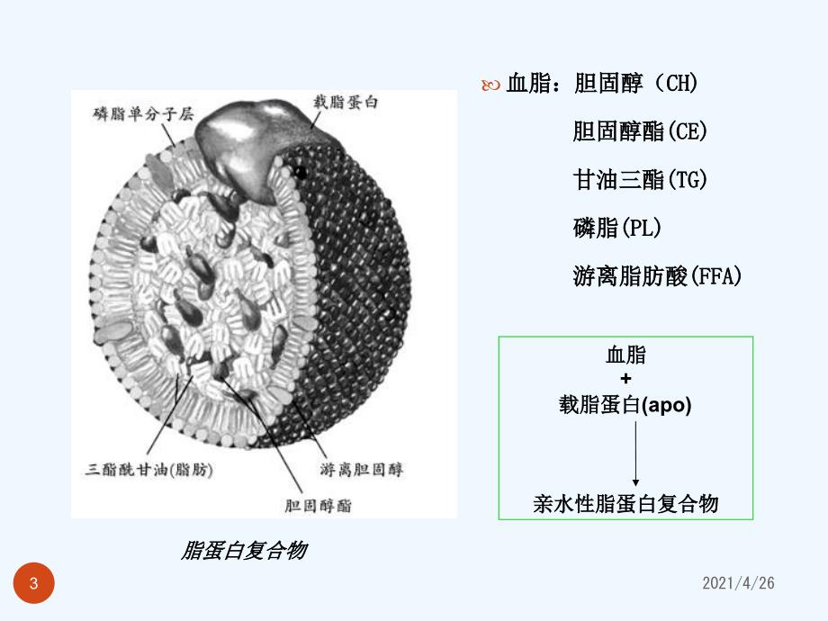 调血脂药及抗动脉粥样硬化药_第3页