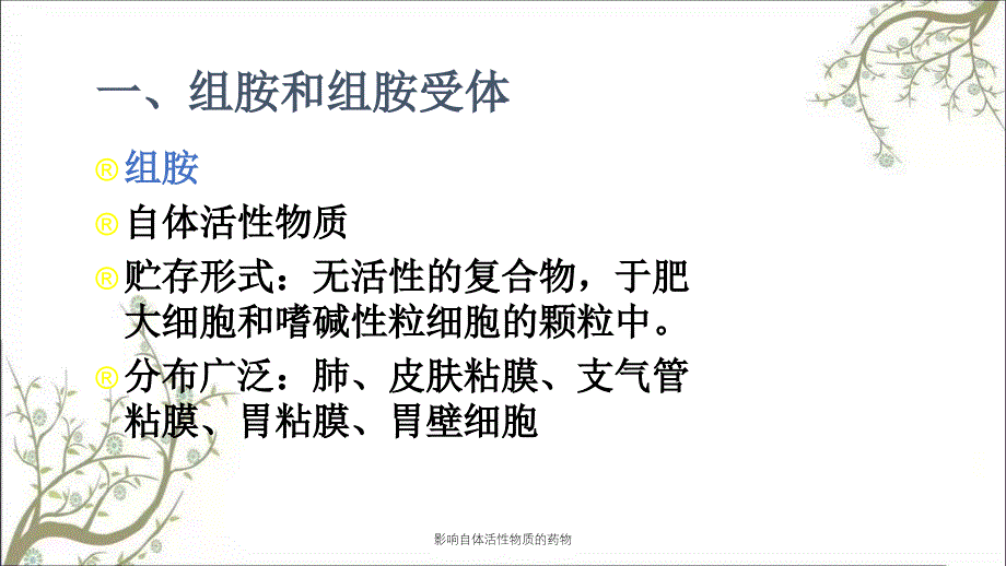 影响自体活性物质的药物课件_第4页