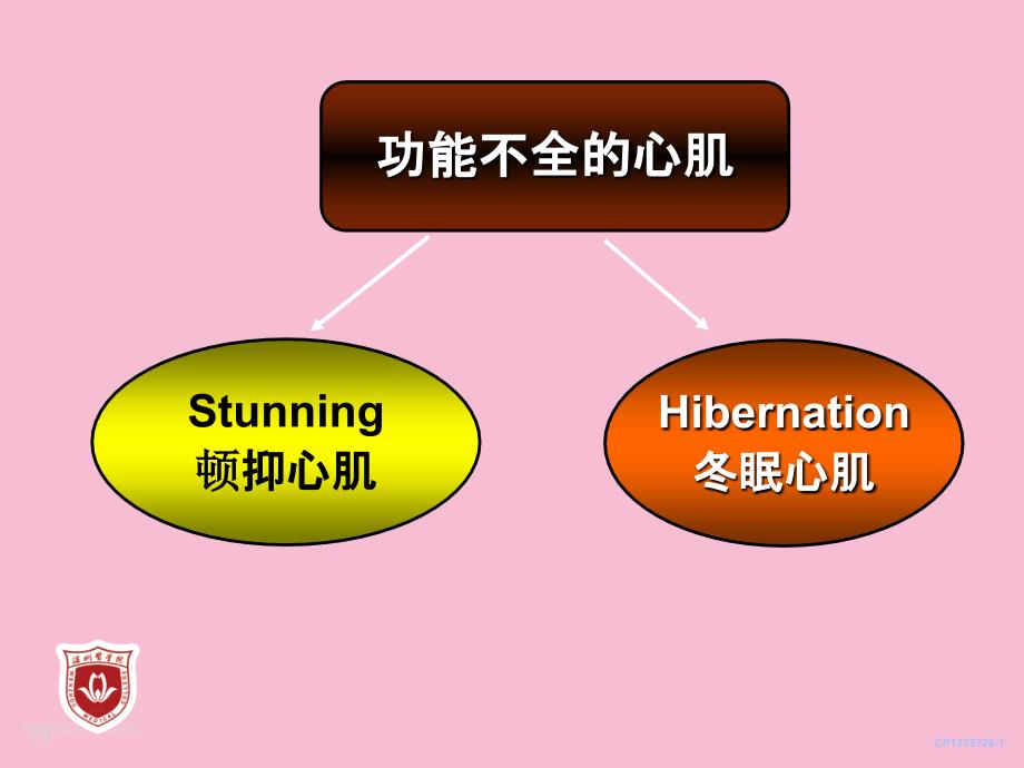 存活心肌的评价和临床意义温州医学院附属第一医院张怀勤ppt课件_第4页