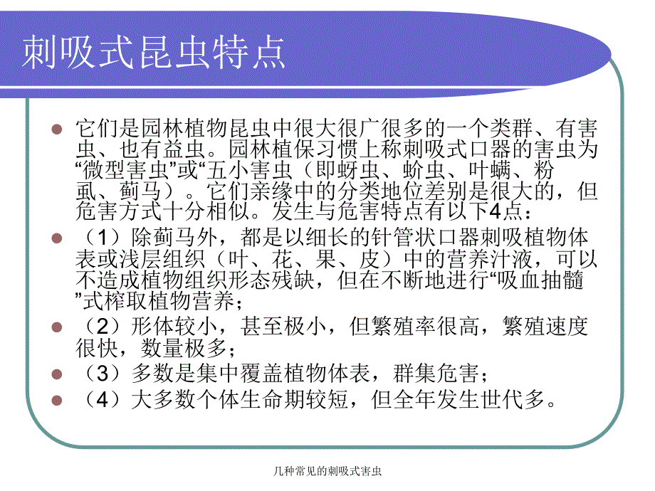 几种常见的刺吸式害虫课件_第3页