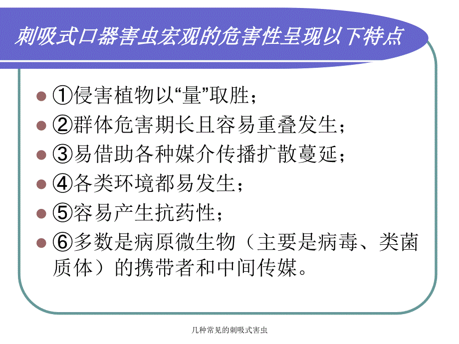 几种常见的刺吸式害虫课件_第4页