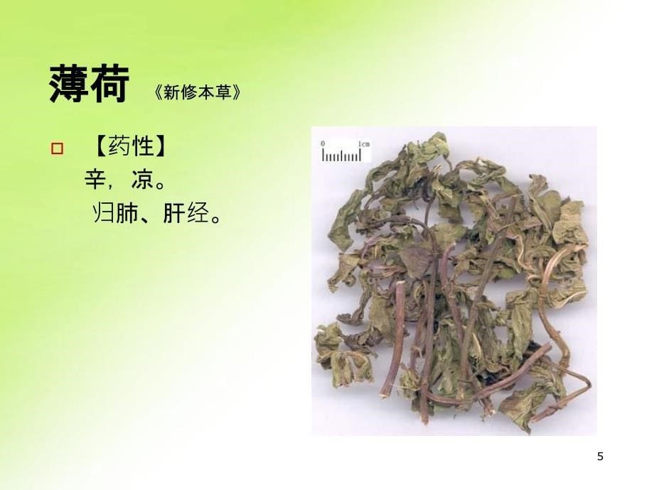 第二节发散风热药课件_第5页