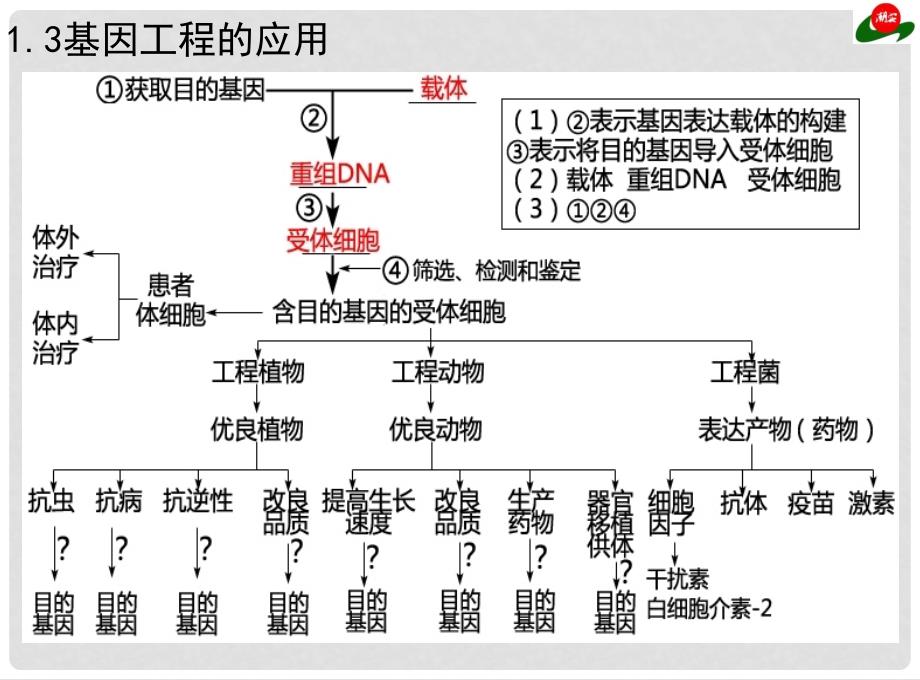 广东省汕头市高中生物 第一章 基因工程 1.3 基因工程的应用课件 新人教版选修3_第3页