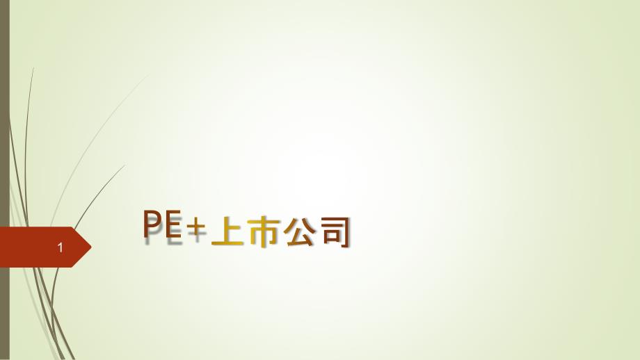 PE+上市公司ppt课件.ppt_第1页