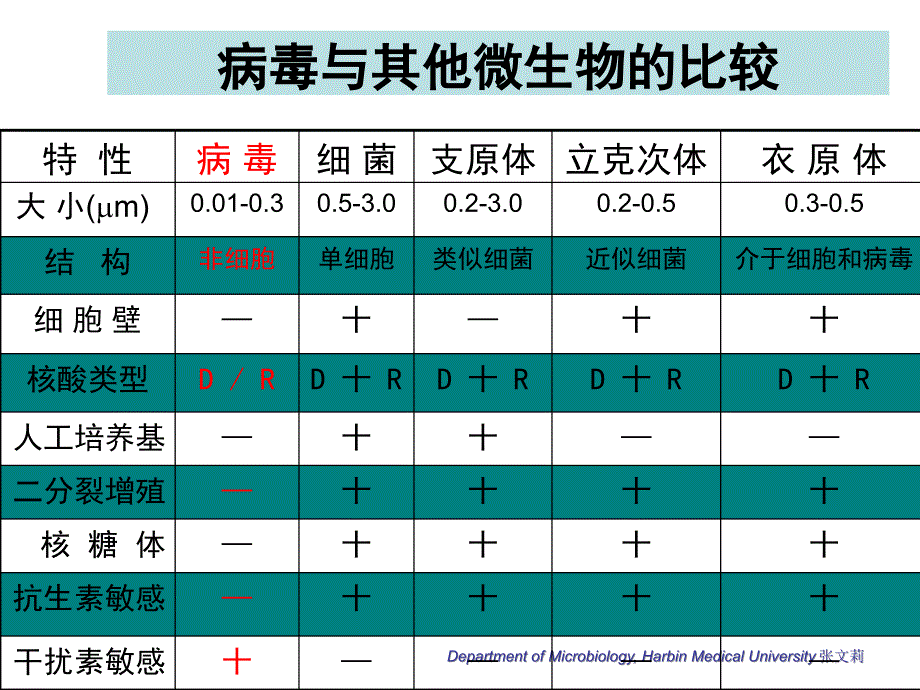 微生物学第4章病毒的基本性状_第4页