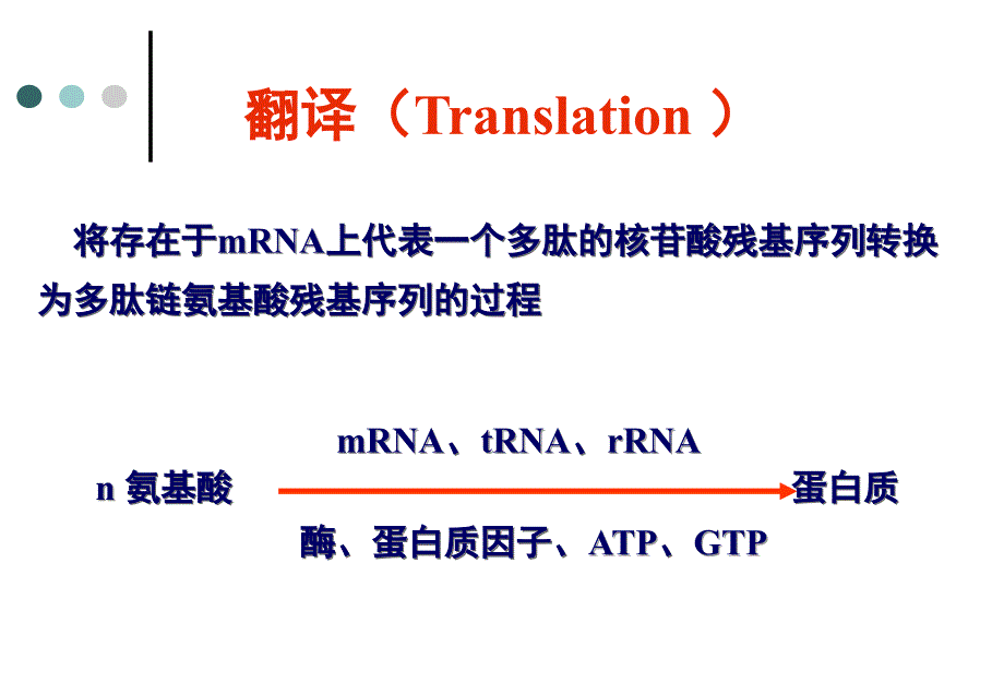 蛋白质生物合成-翻译及翻译后过程.ppt_第2页